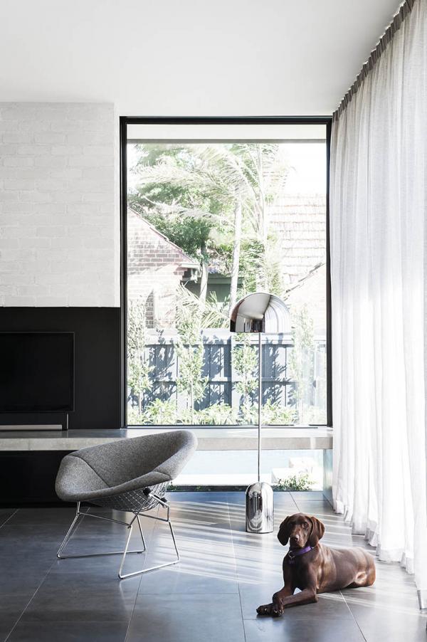 Living room featuring sheer curtains on pencil pleat heading, James Dunlop - Cav